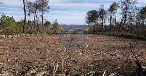 Terreno  Venda em Espinho,Mangualde