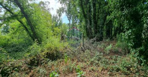 Terreno Para Construção  Venda em Ribafeita,Viseu