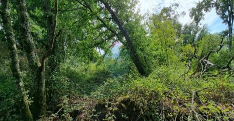 Terreno Para Construção  Venda em Ribafeita,Viseu