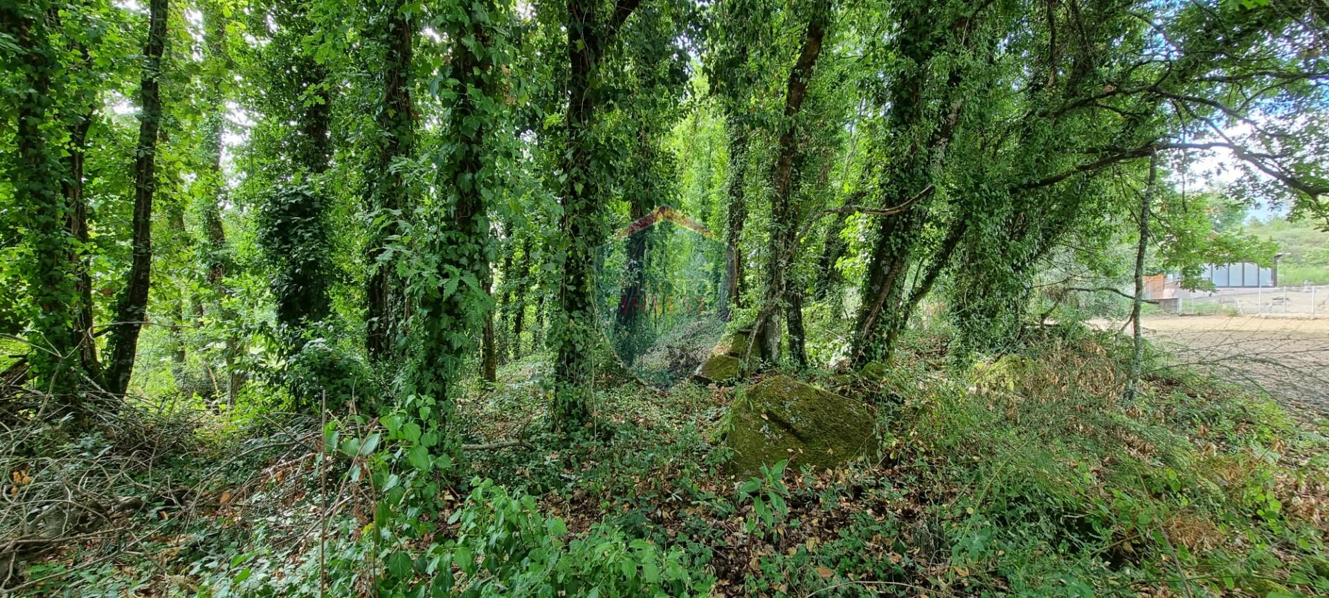 Terreno Para Construção  Venda em Ribafeita,Viseu