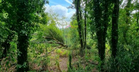 Terreno Para Construção  Venda em Ribafeita,Viseu