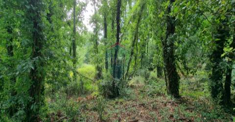 Terreno Para Construção  Venda em Ribafeita,Viseu