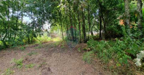 Terreno Para Construção  Venda em Ribafeita,Viseu