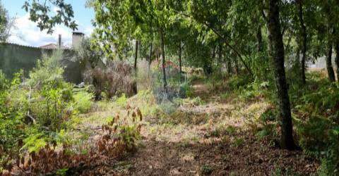 Terreno Para Construção  Venda em Ribafeita,Viseu