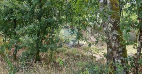 Terreno Para Construção  Venda em Ribafeita,Viseu