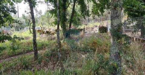 Terreno Para Construção  Venda em Ribafeita,Viseu