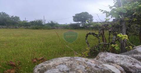 Terreno Para Construção  Venda em São Vicente de Lafões,Oliveira de Frades