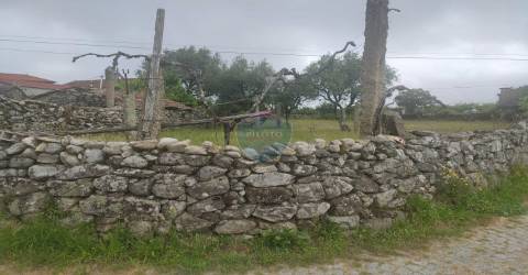 Terreno Para Construção  Venda em São Vicente de Lafões,Oliveira de Frades