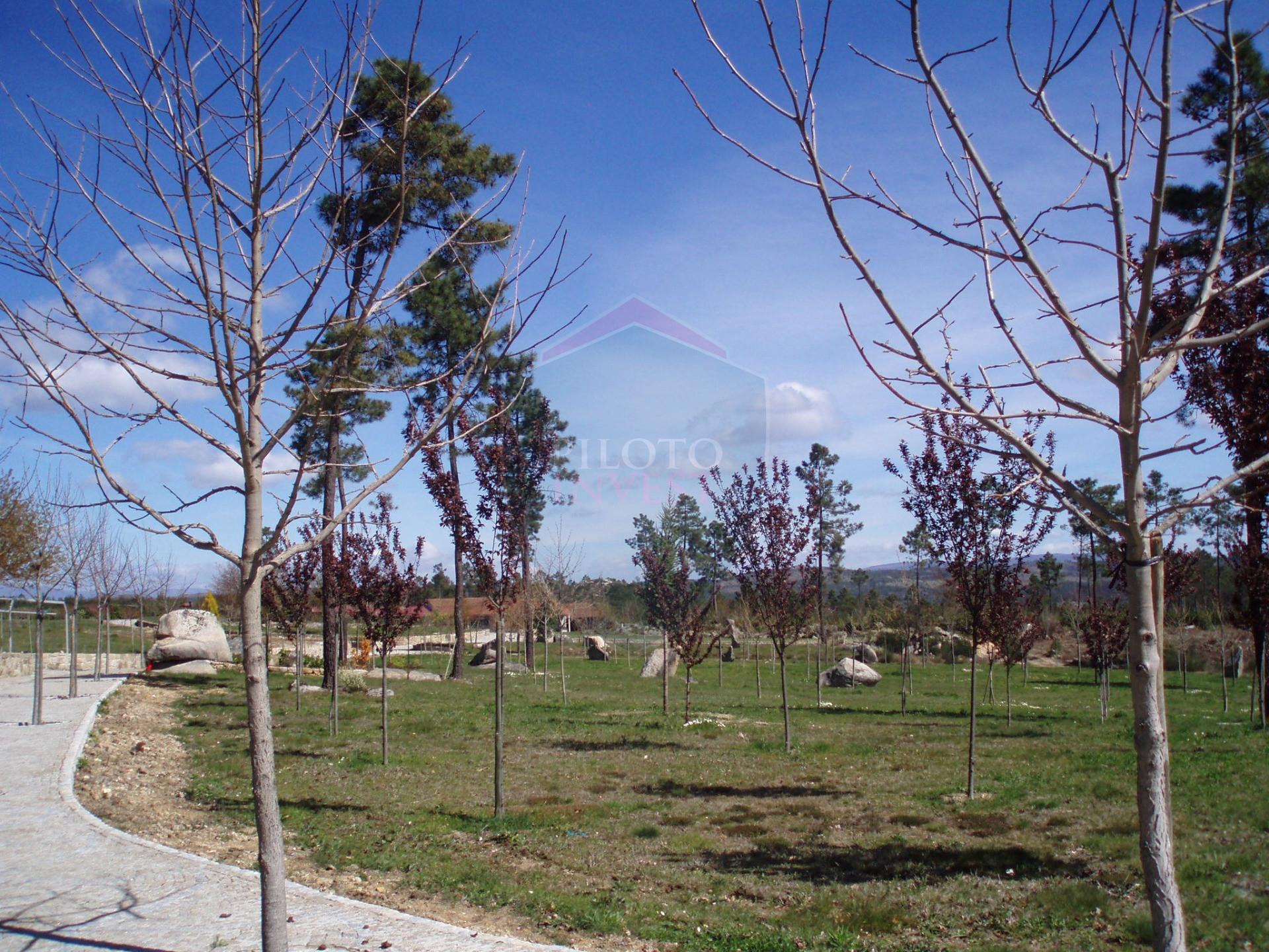 Quinta  Venda em Bodiosa,Viseu