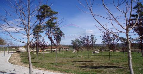Quinta  Venda em Bodiosa,Viseu