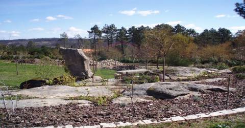 Quinta  Venda em Bodiosa,Viseu