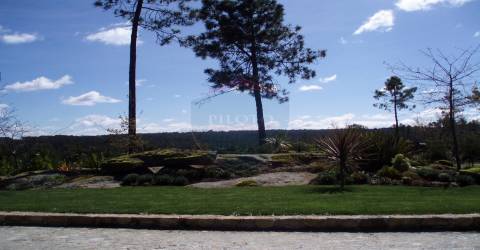 Quinta  Venda em Bodiosa,Viseu