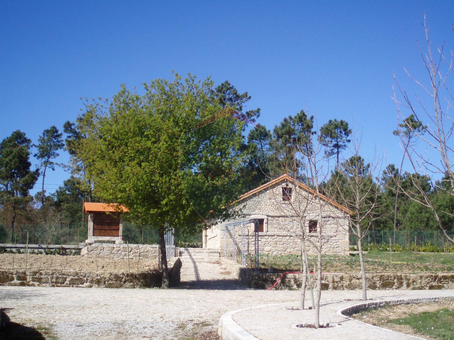 Quinta  Venda em Bodiosa,Viseu