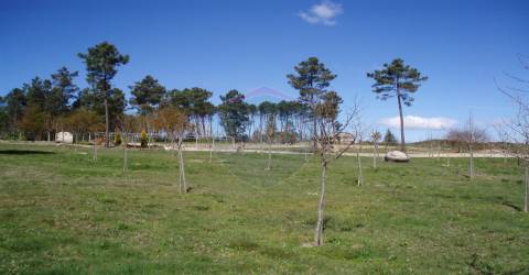 Quinta  Venda em Bodiosa,Viseu