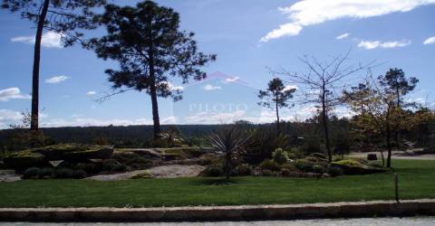 Quinta  Venda em Bodiosa,Viseu