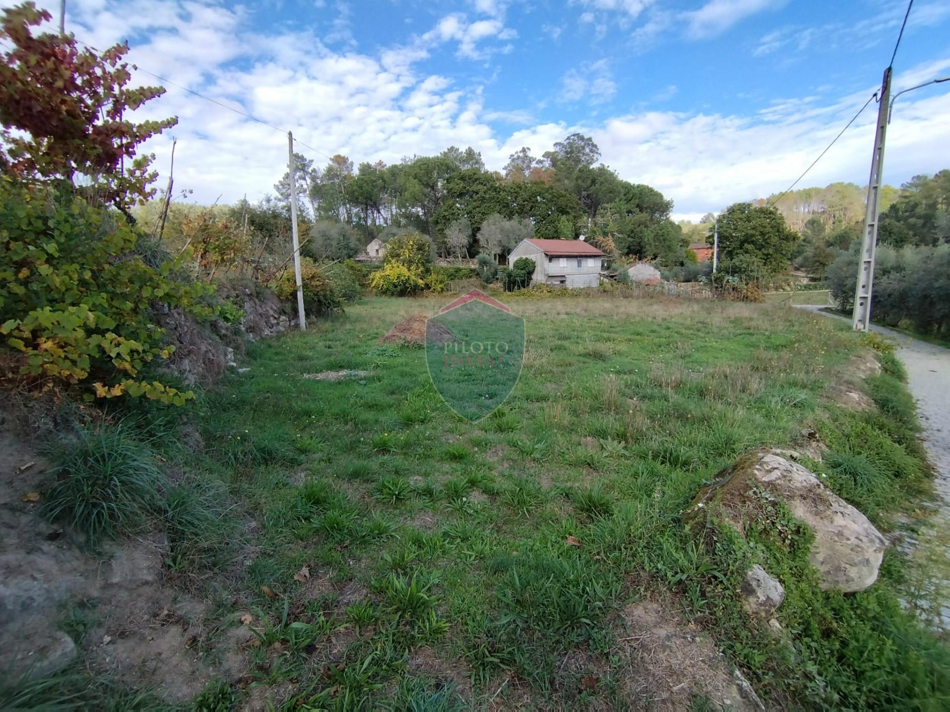 Terreno  Venda em São Pedro de France,Viseu