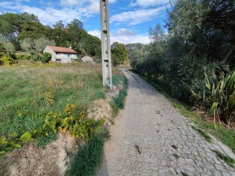 Terreno  Venda em São Pedro de France,Viseu