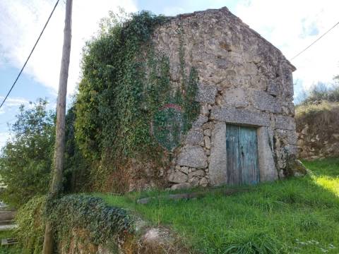 Terreno  Venda em São Pedro de France,Viseu