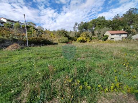 Terreno  Venda em São Pedro de France,Viseu
