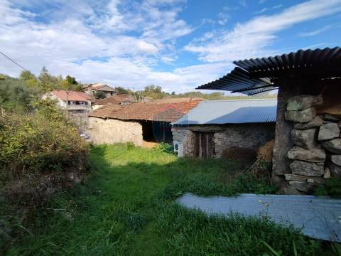 Terreno  Venda em São Pedro de France,Viseu