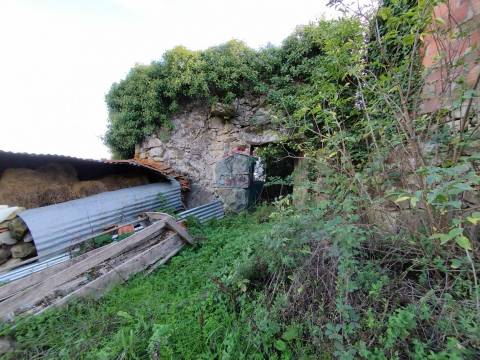 Terreno  Venda em São Pedro de France,Viseu
