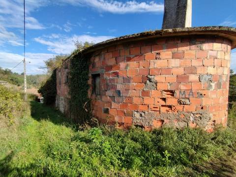 Terreno  Venda em São Pedro de France,Viseu