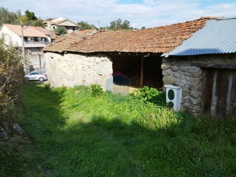 Terreno  Venda em São Pedro de France,Viseu