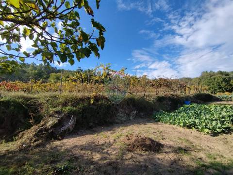 Terreno  Venda em São Pedro de France,Viseu