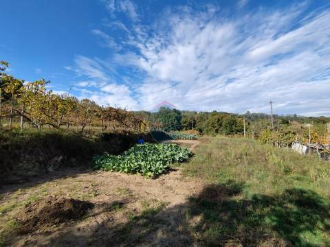 Terreno  Venda em São Pedro de France,Viseu