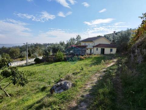 Terreno  Venda em São Pedro de France,Viseu