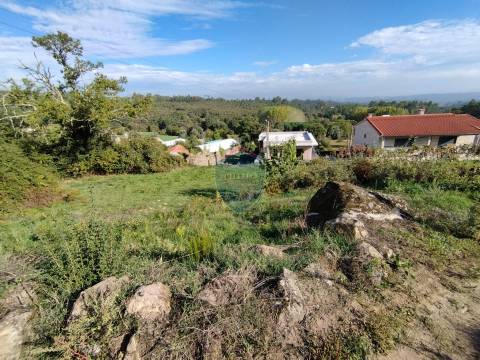 Terreno  Venda em São Pedro de France,Viseu