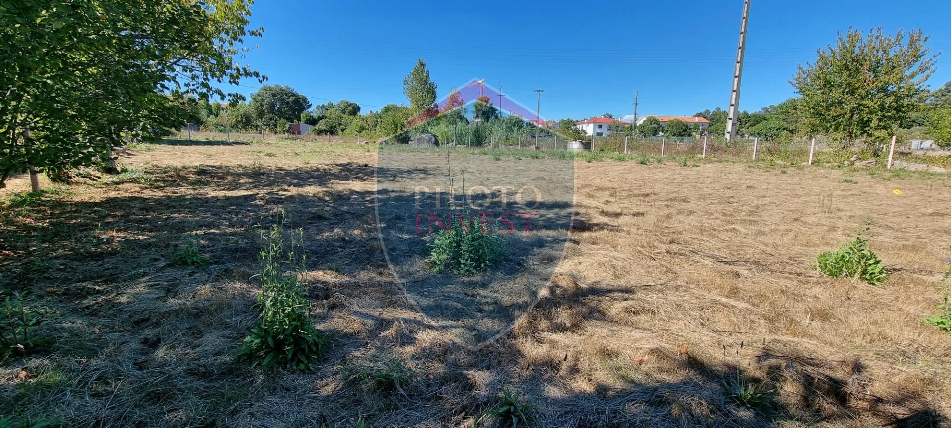 Terreno  Venda em Rio de Loba,Viseu