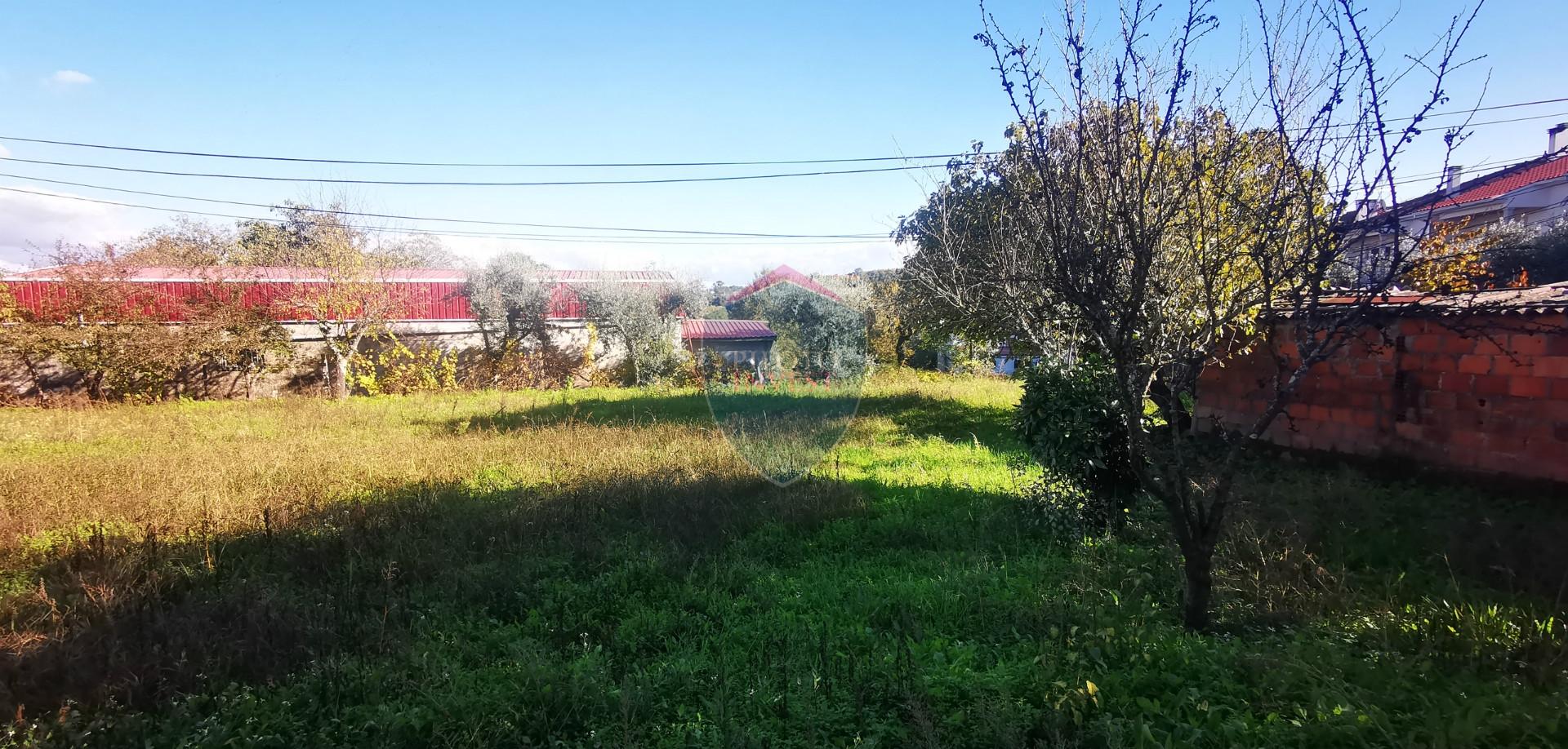 Terreno Para Construção  Venda em Viseu,Viseu