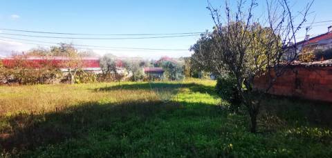 Terreno Para Construção  Venda em Viseu,Viseu