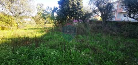 Terreno Para Construção  Venda em Viseu,Viseu