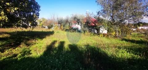 Terreno Para Construção  Venda em Viseu,Viseu