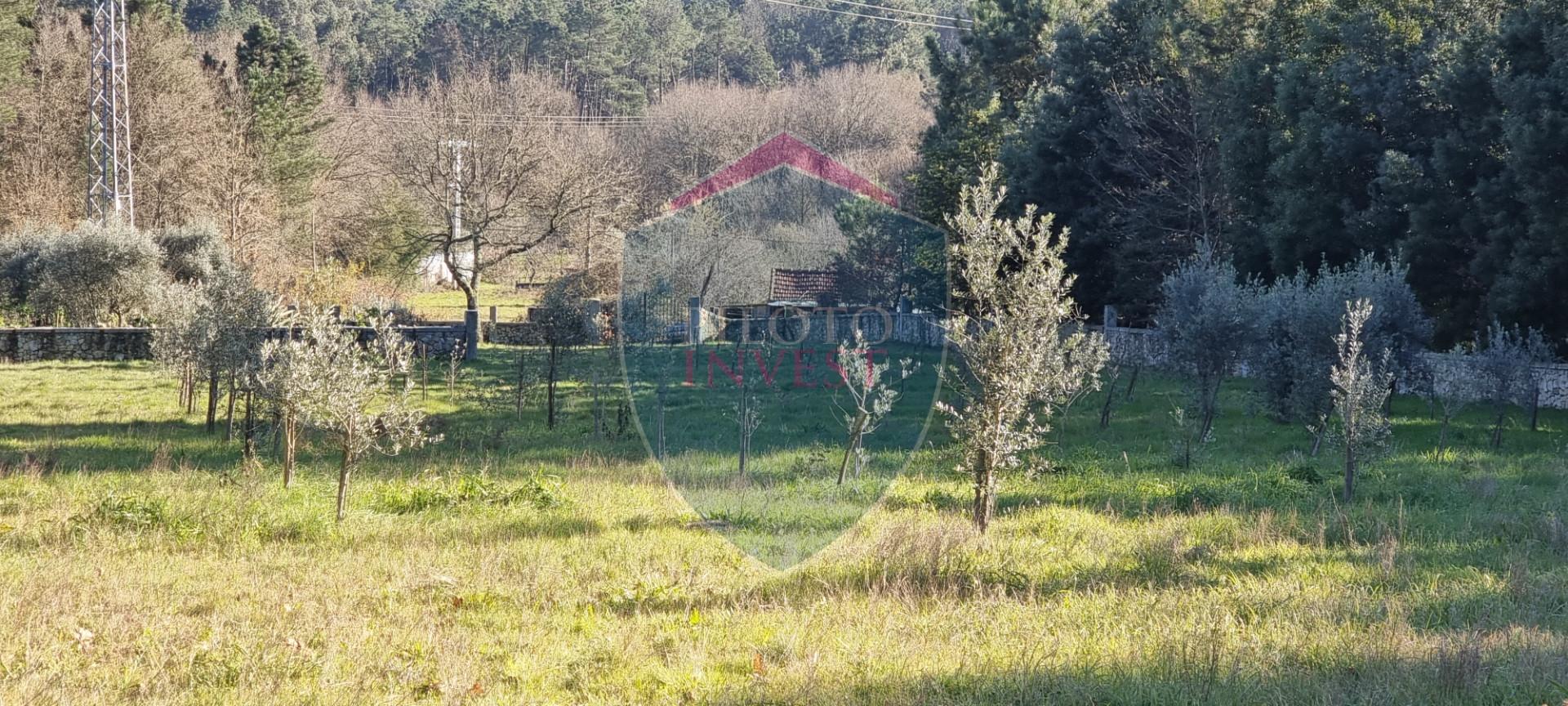 Quinta  Venda em Rio de Loba,Viseu