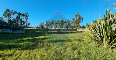 Quinta  Venda em Rio de Loba,Viseu