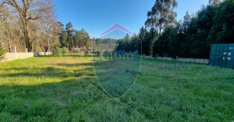 Quinta  Venda em Rio de Loba,Viseu