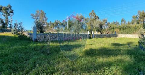 Quinta  Venda em Rio de Loba,Viseu
