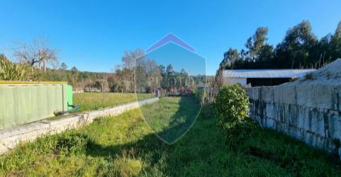 Quinta  Venda em Rio de Loba,Viseu