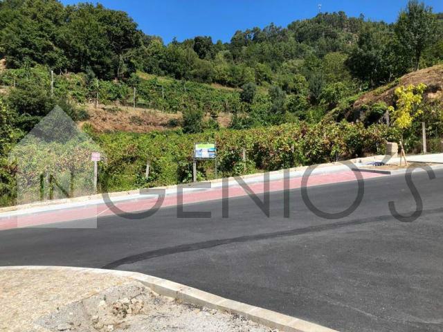 Terreno  Venda em Cerva e Limões,Ribeira de Pena