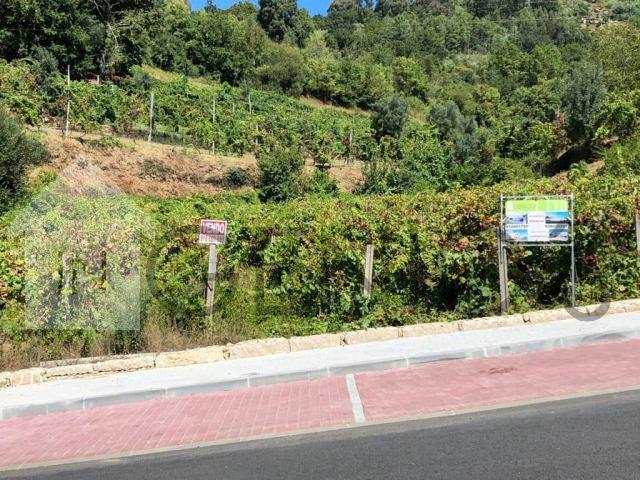 Terreno  Venda em Cerva e Limões,Ribeira de Pena