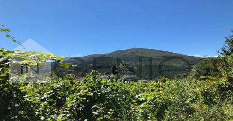 Terreno  Venda em Cerva e Limões,Ribeira de Pena