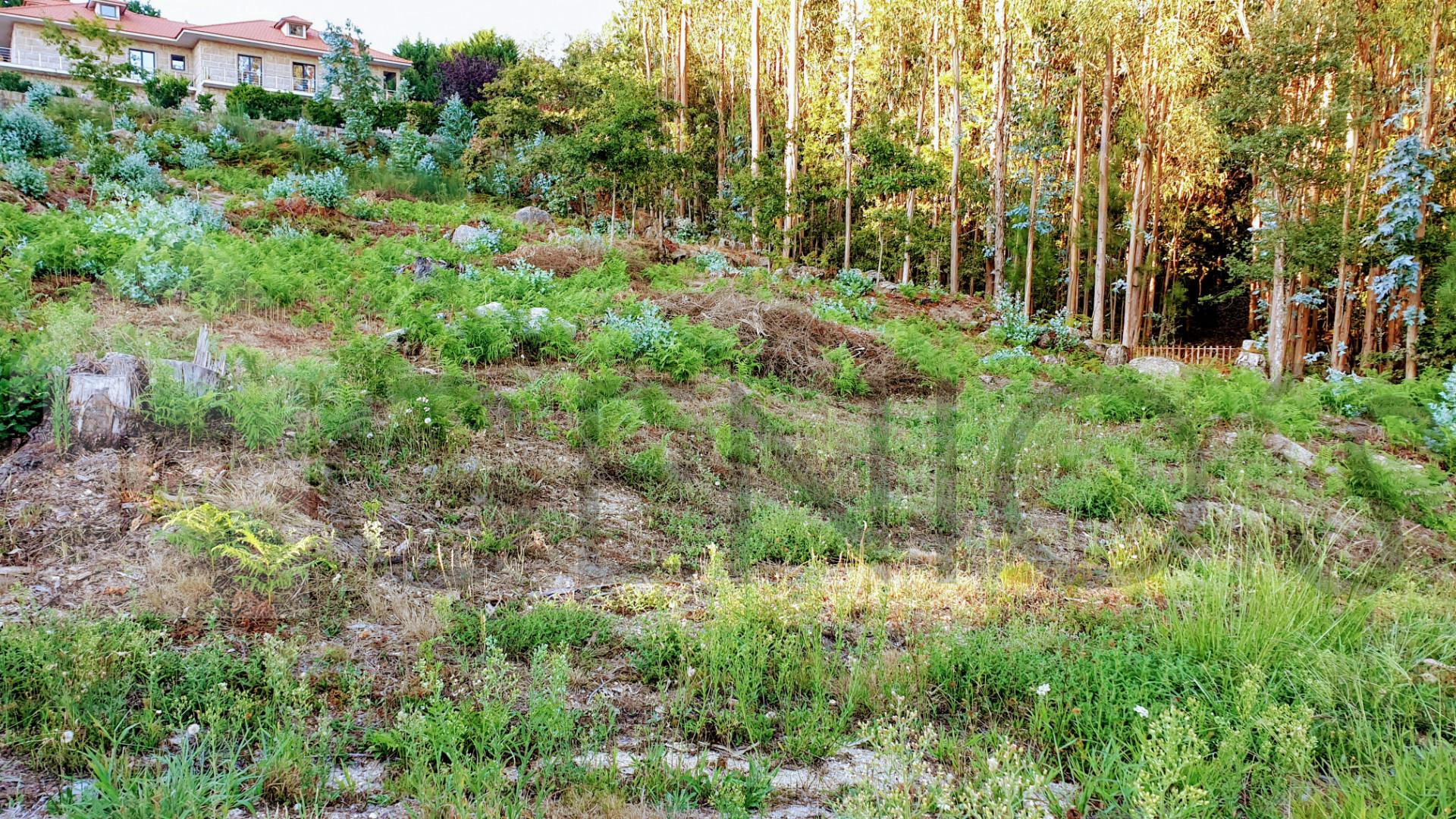 Terreno Para Construção  Venda em Vale (São Cosme), Telhado e Portela,Vila Nova de Famalicão