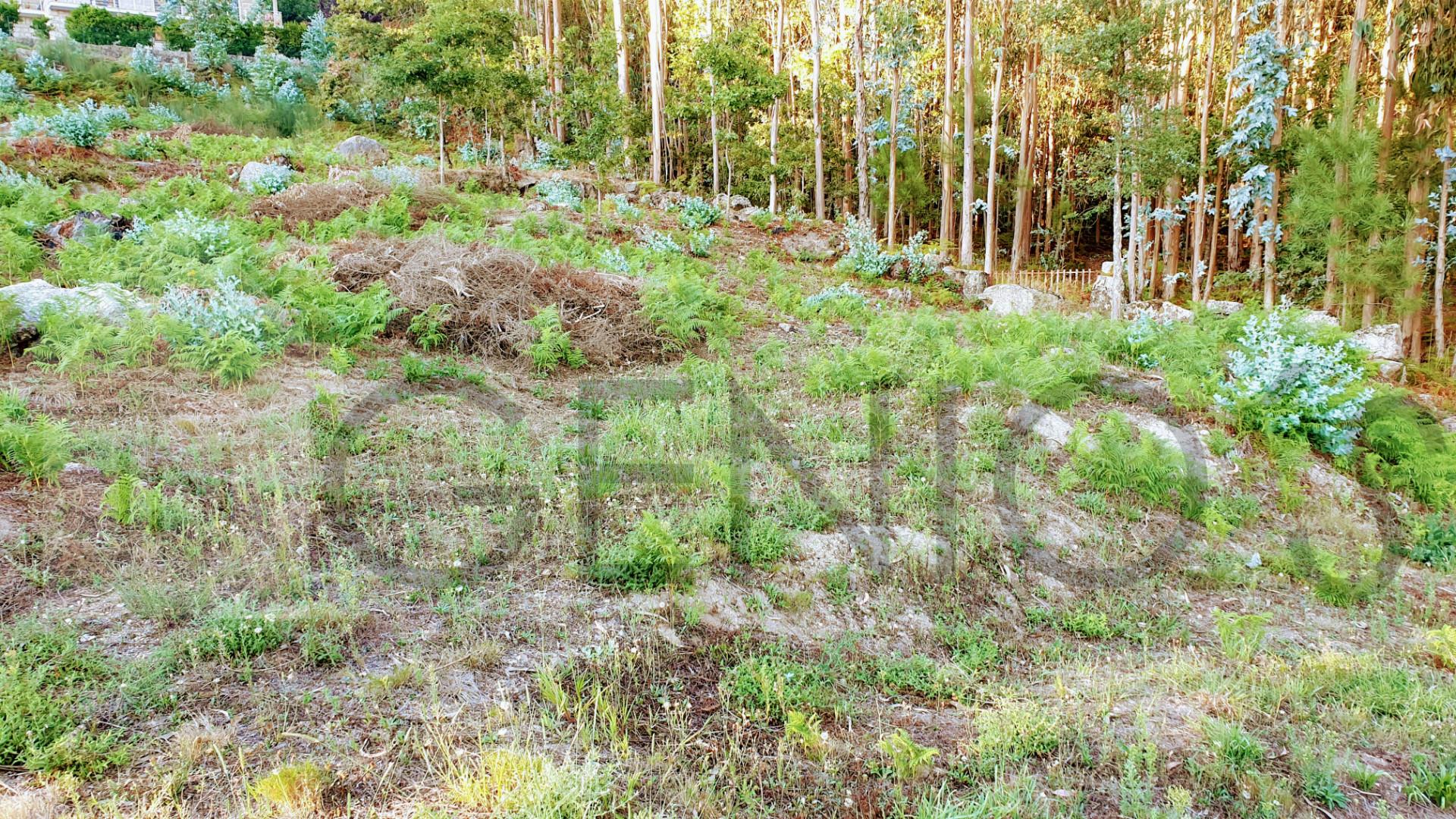 Terreno Para Construção  Venda em Vale (São Cosme), Telhado e Portela,Vila Nova de Famalicão