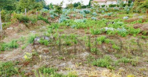 Terreno Para Construção  Venda em Vale (São Cosme), Telhado e Portela,Vila Nova de Famalicão
