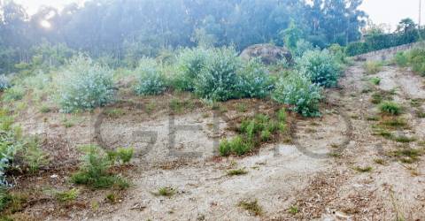 Terreno Para Construção  Venda em Vale (São Cosme), Telhado e Portela,Vila Nova de Famalicão