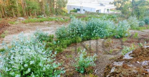 Terreno Para Construção  Venda em Vale (São Cosme), Telhado e Portela,Vila Nova de Famalicão