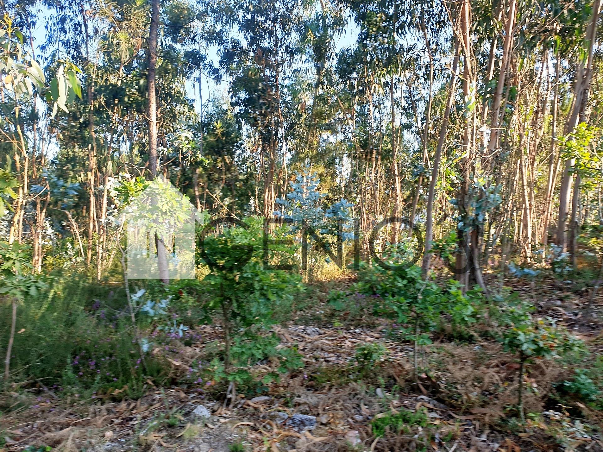 Terreno em Gondifelos para construção